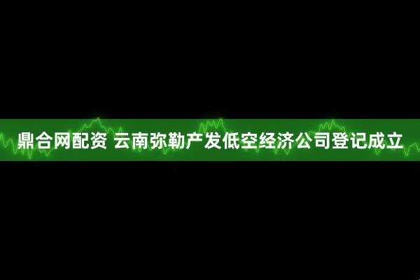 鼎合网配资 云南弥勒产发低空经济公司登记成立